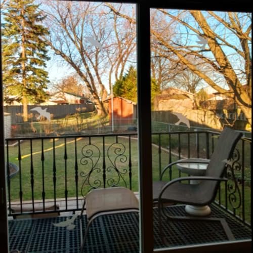 Anti-Collision Window Bird Stickers Decals Glass Door Protect and Save Bird Strikes (Clear) - color: Clear