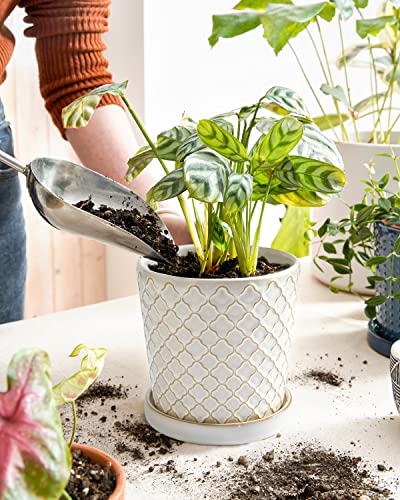 LE TAUCI Ceramic Pots for Plants, 5.4 Inch Plant Pots with Drainage Hole and Saucer, Indoor Plant Pots for Succulent, Snake Plants and Cactus, Flower Pots, Set of 2, Reactive Glaze White - size: 5.4 inch, style: Clover Trellis & Vertical Ribbed Set