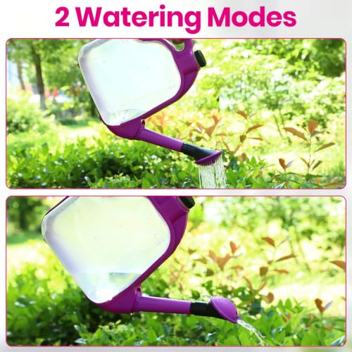1 Gal Purple Clear Plastic Foldable Watering Can - color: Purple, size: PURPLE-4L