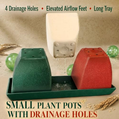 3.5" Christmas Succulent Pots, Plant Pots with Drainage Trays - color: Red,white,green