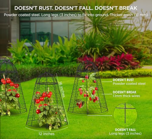Garden Cloches for Plant Protector from Animals Chicken Wire Cages Outdoor - size: Set of 12 (20 inch high)
