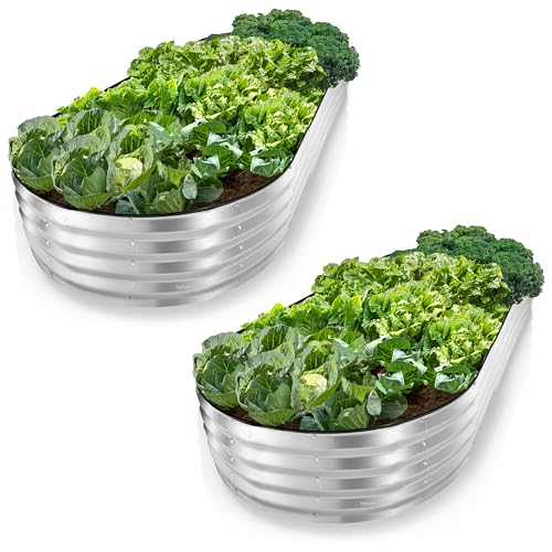 Plant & Plot Galvanized Raised Garden Beds Outdoor // 8×4×1 ft (2-Pack) Planter Raised Beds for Gardening, Vegetables, Flowers // Large Metal Garden Box // Patented Tool-Free Design (Silver) - color: Silver, size: 8×4×1 Ft (2-pack)