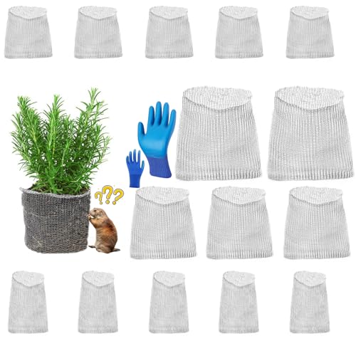 5 Packs Gopher Baskets 3 Gallon Size Stainless Stee (Small) - size: Multisize X 15 PCS