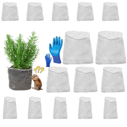 5 Packs Gopher Baskets 3 Gallon Size Stainless Stee (Small) - size: Multisize X 15 PCS