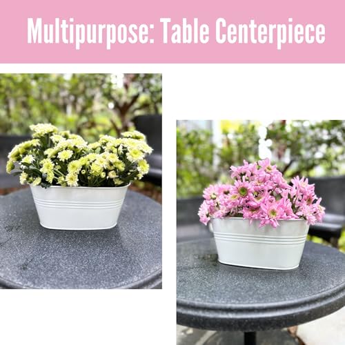 LaLaGreen Metal Rail Planter (11.2 in, 10 Pack) White Strawberry Flower Pot - size: 11.2" (28 cm) x 10 Pack
