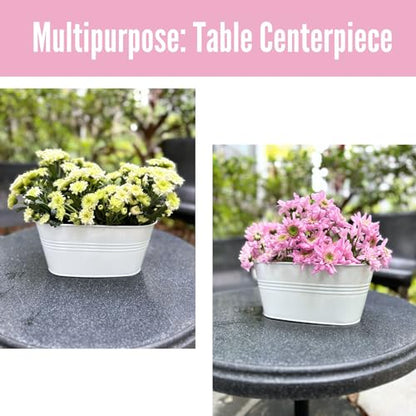 LaLaGreen Metal Rail Planter (11.2 in, 10 Pack) White Strawberry Flower Pot - size: 11.2" (28 cm) x 10 Pack