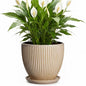 8 Inch Pots for Plants, Ceramic Planter with Saucer, Beige - color: Beige, size: 8 Inch