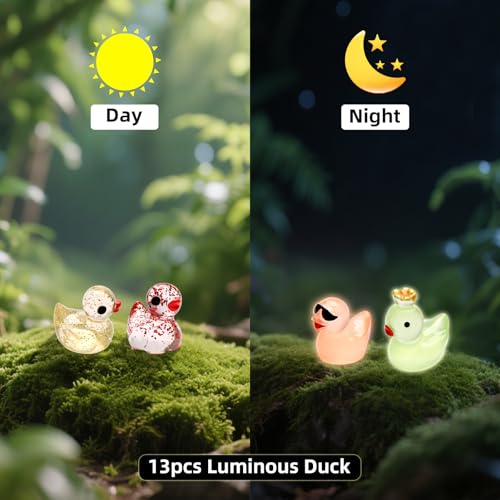 25pcs Mini Ducks Fairy Garden Accessories with Mini Suitcase - size: Mini Ducks