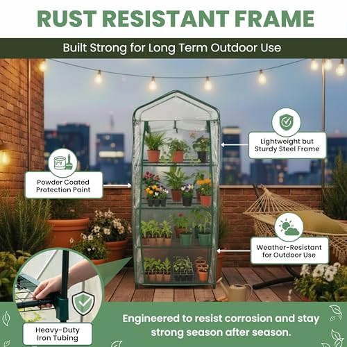 Pure Garden 4 Tier Mini Greenhouse, 27.5x19x63-Inch