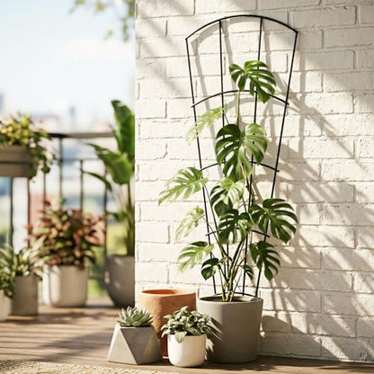 Thealyn 56" Tall Metal Plant Trellis for Climbing Plants, 8 Pack, Black - color: Black, size: 56 inch-8 Pack
