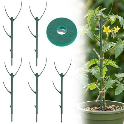 5 Pack Monstera Plant Support Upgrade Stackable Plant Stakes