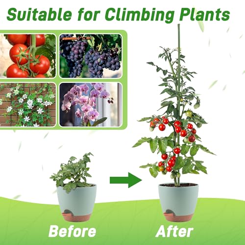 50Pcs 2ft Bamboo Sticks for Indoor Outdoor Plants, 0.29"-0.38" Natural Bamboo Poles, Durable Garden Stakes for Tomatoes, Beans, Flowers and Potted Plants - size: 2FT 50PCS