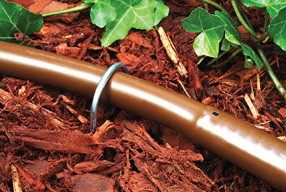 Rain Bird GS50/10PS Drip Stake, 1/2", 20-Pack - size: 20-Pack, style: Galvanized Wire Stake