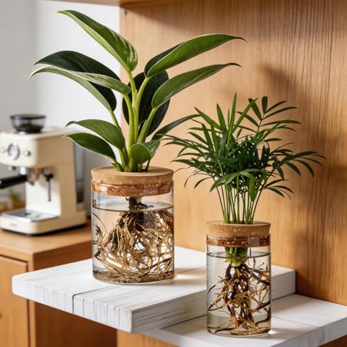 Glass Plant Propagation Stations for Plants, Propagation Flower Vases Set