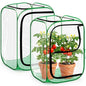 2 Pcs Pop up Mini Greenhouse Cover, Foldable PVC Plant Protector