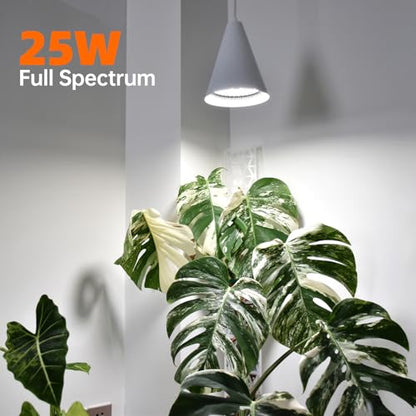 Bstrip Hanging Grow Light for Indoor Plants, 5000K - color: 5000K