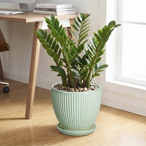 10 Inch Planter Indoor, Ceramic Pots with Saucer, Mint Green - color: Mint Green, size: 10 Inch