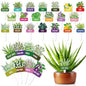 20 Pcs Acrylic Plant Labels Vegetables Design Waterproof Marker