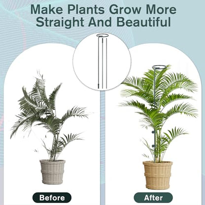 6 Pack Tall Plant Support Stakes for Indoor Outdoor Plants