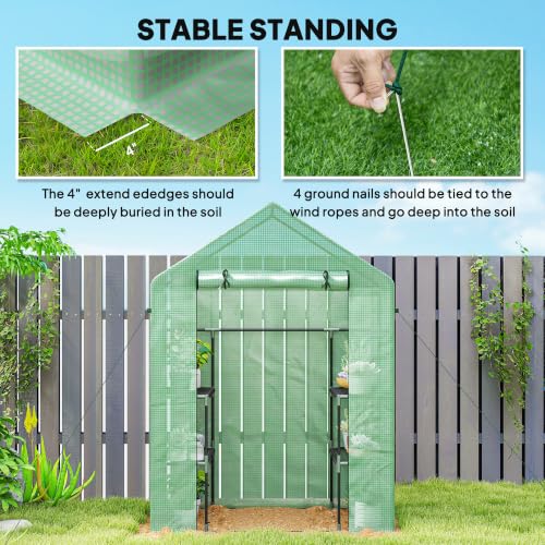 Greenhouse - color: Green
