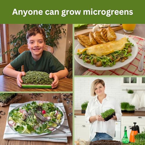 Microgreen Refill – 4 Harvests: Hydroponic Medium and 4 Pack Organic Seeds - style: Hydroponic Confetti Refill