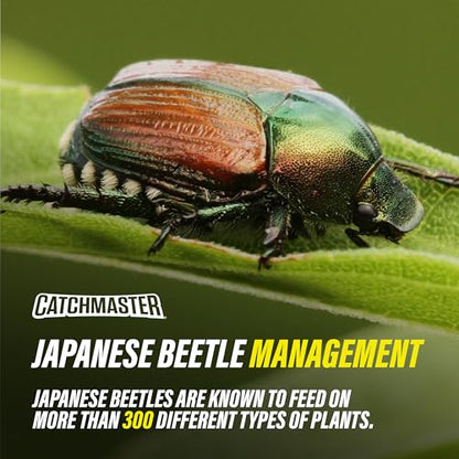 Catchmaster Japanese Beetle Trap Bags 6 Pack, Outdoor Traps w/Dual Lure - size: 6-Pack with Lids