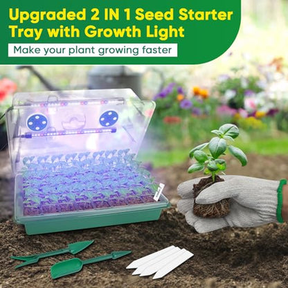 BlumWay Seed Starter Tray with Grow Light, 1-24H Timer, 2 Pack 80 Cells