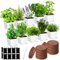 Ripeng 10 Set Indoor Herb Garden Starter Kit, Herb Growing Kit with Pots, Nutritional Soil, Plant Markers, Kitchen Window Planter, Gardening Gift for Women Men Indoor Outdoor
