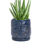 D'vine Dev Embossed Leaves Ceramic Planter, 5 in, Midnight Blue, 27-A-V-3 - color: Midnight Blue, size: 5 Inch