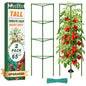 ZeeDix 65 Inch Heavy Duty Tall Tomato Cages for Garden 2 Pack - size: 65 Inch