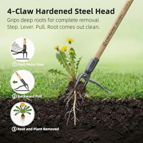 Stand Up Weed Puller with Bamboo Handle, 4-Claw Steel Head for Garden