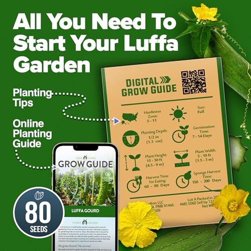 HOME GROWN Luffa Loofah Gourd Seeds, 80+ Seeds, Luffa aegyptiaca