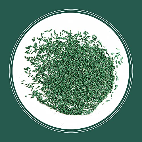 Pennington Smart Seed Sun & Shade Mix, South Tall Fescue Grass Seed, 7 lb - size: Sun & Shade South 7lb