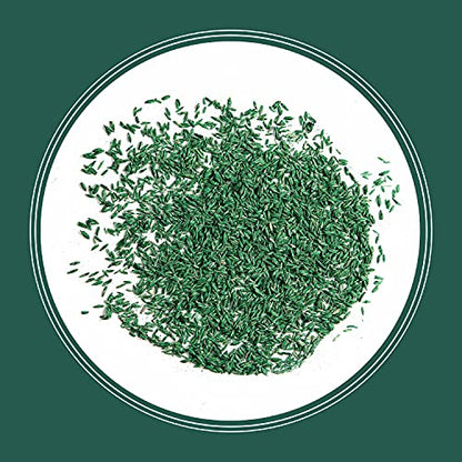 Pennington Smart Seed Sun & Shade Mix, South Tall Fescue Grass Seed, 7 lb - size: Sun & Shade South 7lb