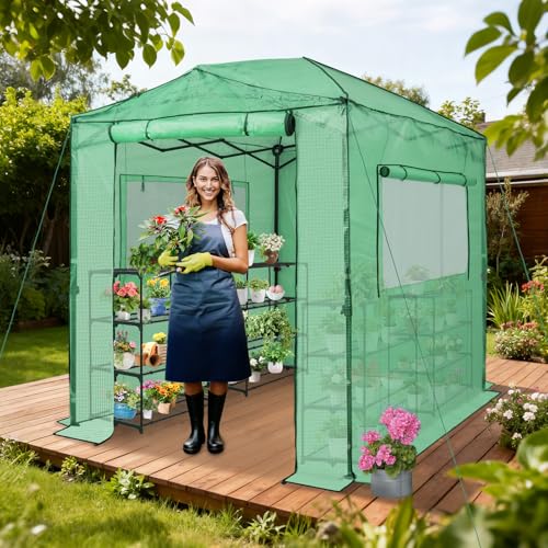 EAGLE PEAK 8x6 Easy Setup Pop Up Greenhouse, Clear/Green - color: Clear/Green, size: 8x6