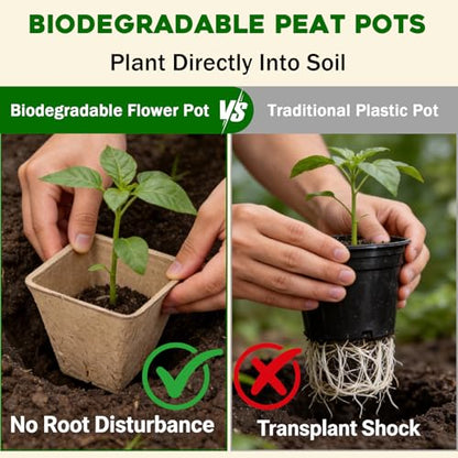 5PCS Seed Starter Tray with 90PCS Square Seed Peat Pots,Seed Starter Kit