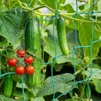 Trellis Netting, Heavy-Duty Garden Grow Netting for Climbing Plants, Outdoor Indoor Net for Cucumber, Tomatoes, Beans, Clematis, Fruits & Vegetables, Climbing Vining Plants (8.2' x 6.6'Ft) - size: 8.2' x 6.6'Ft