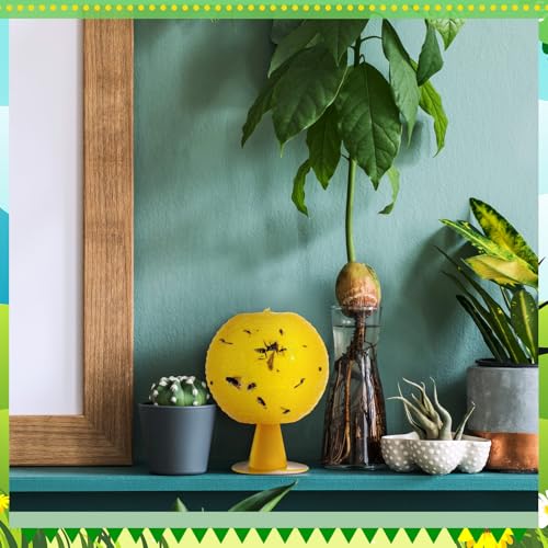 Qualirey 10 Set Fruit Fly Sticky Trap Balls Fungus Gnat Killer, Yellow - color: Yellow