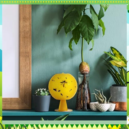 Qualirey 10 Set Fruit Fly Sticky Trap Balls Fungus Gnat Killer, Yellow - color: Yellow
