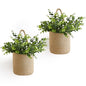 Dahey 2Pcs Woven Hanging Wall Basket 5.5"W×6.2"H with Artificial Eucalyptus - size: 5.5"W×6.2"H