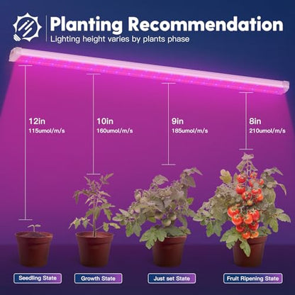FREELICHT 2Pack 4FT Grow Light for Indoor Plants, 40W=250W, Red Blue