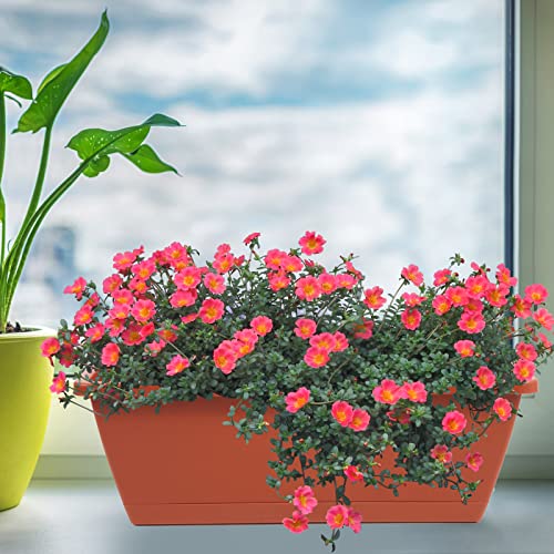 8pcs Window Box Planter,Rectangle Plastic Vegetable Flower Planters Boxes - color: Red