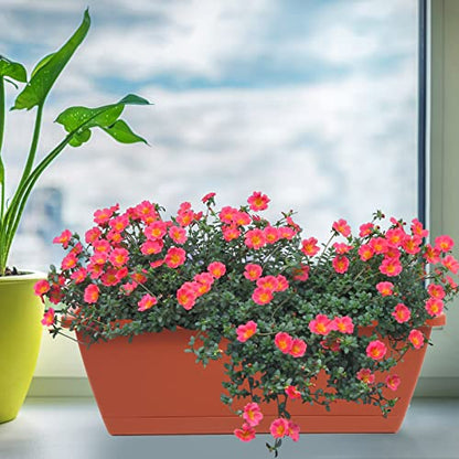 8pcs Window Box Planter,Rectangle Plastic Vegetable Flower Planters Boxes - color: Red