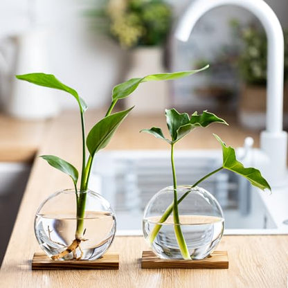 Propagation Vases for Plants - Glass Terrarium Planter with Wooden Stand, Small Desktop Oblate Hydroponic Propagation Vases for Modern Home & Office Decor (2)