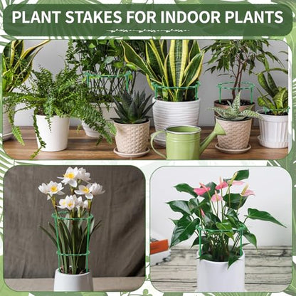 12 Pack Plant Support Stakes Sets - Versatile Plant Cages, Stackable Garden Flower Support， Small Plant Stakes for Indoor Plants,Tomato,Monstera, Peony, Hydrangea, Climbing Plants - size: 6.3*9.8IN（pack of 12)