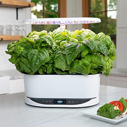 AeroGarden Bounty, White - color: Bounty White