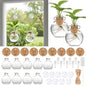 Plastic Window Propagation Stations Hanging Plant Propagation Vases