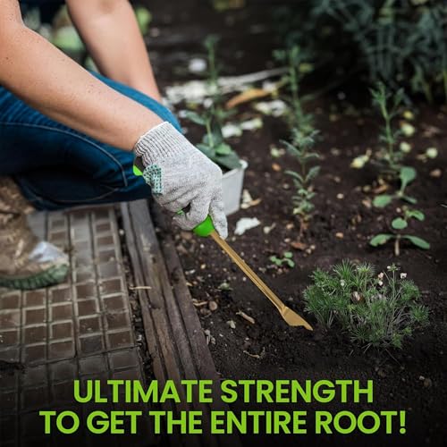 Garden Guru Titanium Dandelion Weeder Tool - Rust Resistant - Ergonomic Handle - Weed Puller for Planting, Weeding, Flower and Vegetable Care in Lawn Garden Yard - size: 1 Pack, style: Titanium