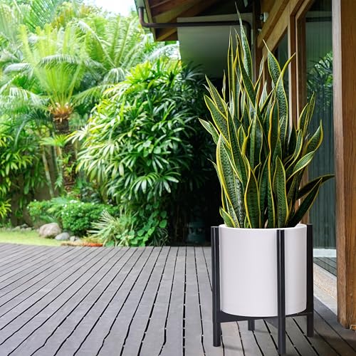 D'vine Dev Plastic Pot with Ebony Wood Stand, White, 14 in, 55-C-T-1 - color: Matte White Pot + Ebony Stand, size: 14 Inch