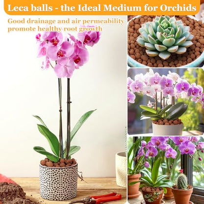 6LB Organic Leca Clay Pebbles for Plants, 4-16mm Natural Leca Balls - size: 6LB